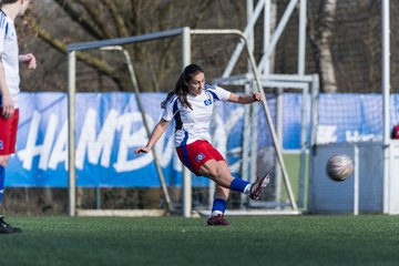 Bild 260 - F Hamburger SV 3 - Blau-Weiss 96 : Ergebnis: 5:1